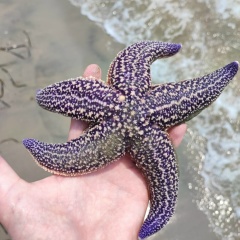 Дима Тяжкун, 22.08, Дубна