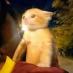 Динар Газиев, Апастово