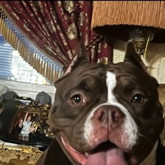 Лиза Проворная, 27.06, Санкт-Петербург