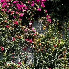 Айгерим Бекпаева, Алматы