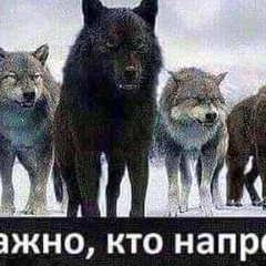 Славон Дмитренко, 30.11.1988, Киев