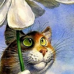 Людмила Чернильник, 29.11, Киев