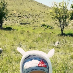 Ирина Ш, 18.02.1996, Кильмезь