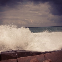 Tarek Elkhodairy, Alexandria