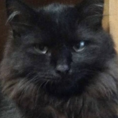 Дмитрий , 25.01.1987, Калининград