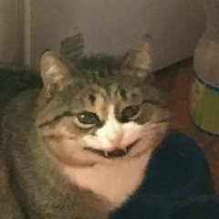 Дима Дивин, 27.11, Тверь