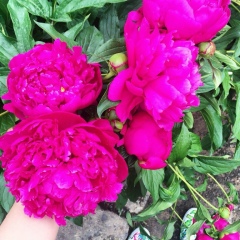 Эльмира Нурмагамбетова, 02.11, Алматы