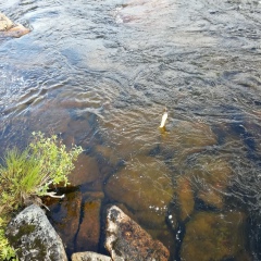 Стас Штыков, 17.07, Санкт-Петербург