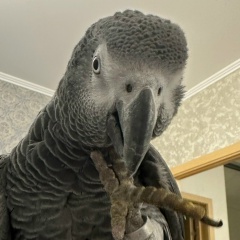 Евгения Лобова, 01.07, Санкт-Петербург