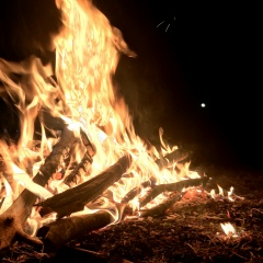 Yaroslav Dmitriev, 13.11