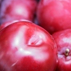 Дамир Бекмырзаев, 23.11.1992, Бишкек