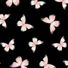 Solongo Enhtuya, 12.01