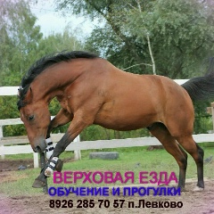 Ирина Гринёва, 04.04, Ивантеевка