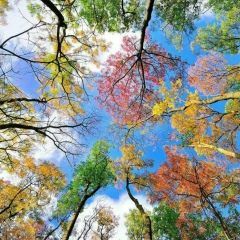 Оксана Harris, 11.06, Stevenage