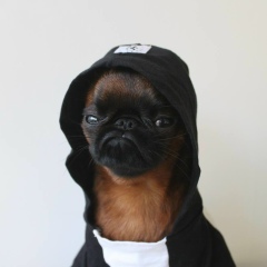 Deleted Profile, 09.05.1989