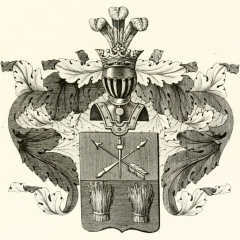 Никита Моисеев
