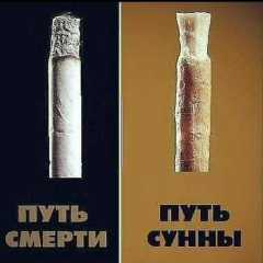 Rashid Hamho, Назрань