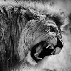 Аманкос Омаров, 13.01, Алматы