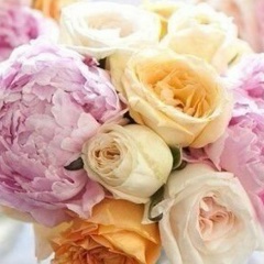 Assel Gaisina, 16.07, Алматы