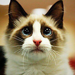 Вадим Вадим, 03.01, Казань