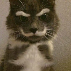 Асель Асылхан, 27.04.1995, Тараз