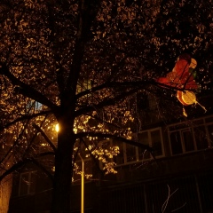 Данияр Ахмедов, 16.09, Алматы