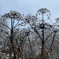 Тимур Мурашов, 12.04.1987, Тольятти