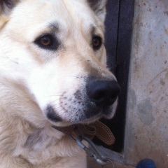 Сережа Исаев, 27.01.1990, Киев