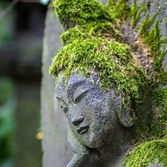 Герензала Мучкинова, 13.02.1981, Москва