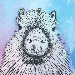 Надя Надя, Москва