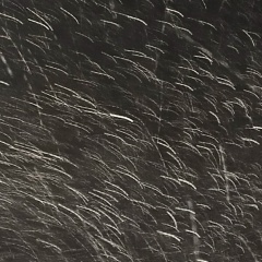 Artem Matafonov, 03.10, Вологда