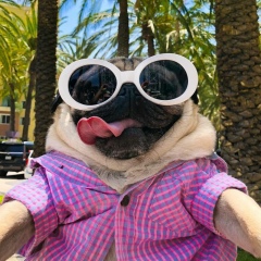 Сергей Надорецкий, 18.04.1990, Ровно