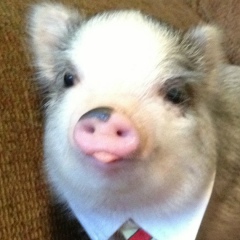 Никита Кондрашов, 06.08.1988, Москва