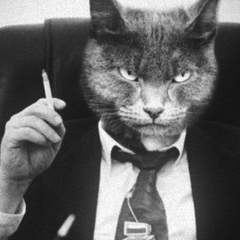 Айгали Донаев, 10.12, Туркестан