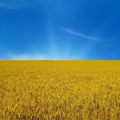 Алексей Попов, 02.03.1992