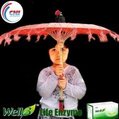 KO Aung, 06.04.1980, Mandalay