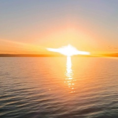 Александр Игнатенко