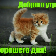 Ринат Салимов, 07.02.1981