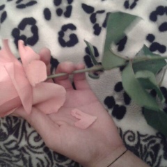 Мия Умалтова, 29.11.1996