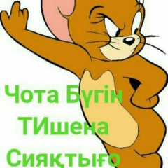 Дина Ерекеева