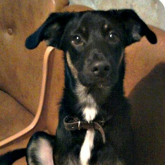 Анатолий Яровых, 22.05, Днепр (Днепропетровск)