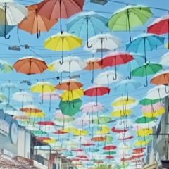 Елена Гаджиева, 14.08, Курск