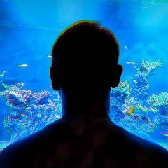 Никита Афонин, 28.02