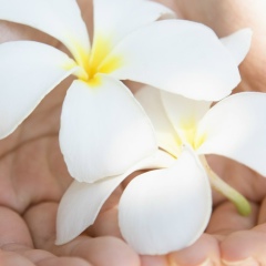 Тимур Альжанов, 26.02.1983, Астана