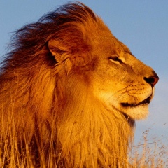 Гаджимурад Мугутдинов, 07.02, Махачкала