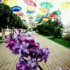 Вероника Ли, 24.12.1995, Алматы