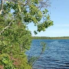 Татьяна Кузнецова, 16.05, Мурманск