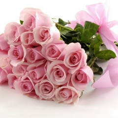 Джамиля Лишанло, Алматы