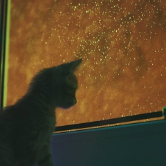 Виктория Белехова, 25.11, Минск