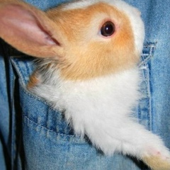 Анна Соннова, 08.11, Москва